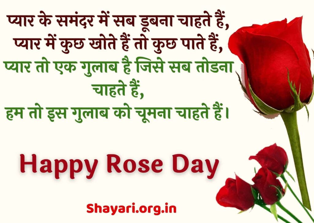 Rose Day Shayari in Hindi