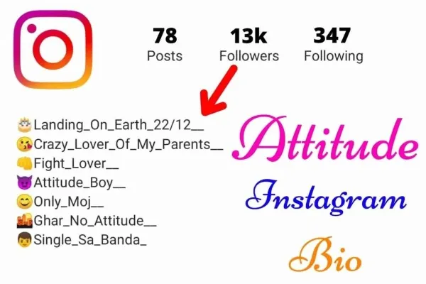 Instagram VIP Bio For Boys